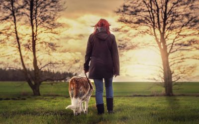¿La psicoterapia asistida por animales es adecuada para usted?